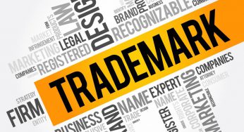How long does it take to trademark a logo?